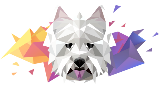 Hugo Fetch